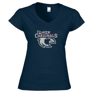 Womens Moisture Wicking Vneck T-shirt