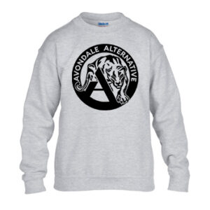 Youth Crewneck Sweatshirt