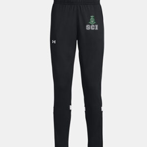 Ladies Under Armour Track Pants