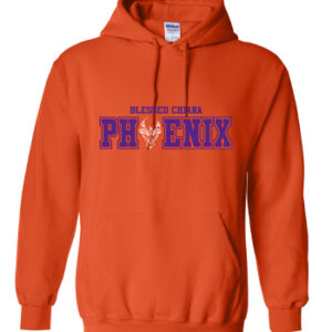 Youth Collegiate Hoody
