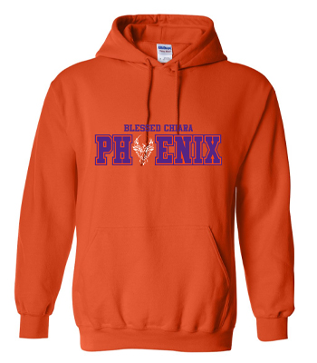 Youth Collegiate Hoody
